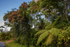 COT_157_1107