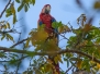costarica08