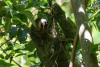 COT_174_1169