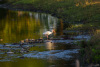 COT_181_1226