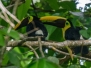 costarica10