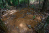 COT_246_1742