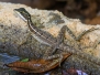 costarica11