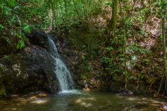 COT_268_1738