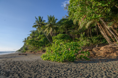 COT_282_1776