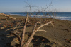 COT_285_1783