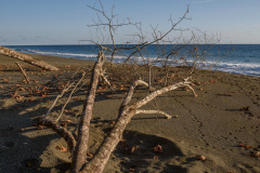 COT_285_1783
