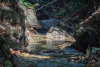COT_301_1808