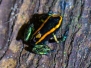 costarica12