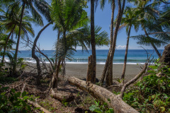 COT_317_1883