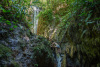 COT_323_1902