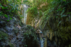 COT_323_1902