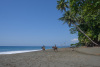 COT_332_2186