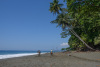COT_333_2188