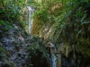 COT_323_1902