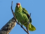 costarica13
