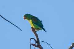 COT_347_2070