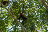 COT_364_2115