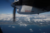 COT_381_2238