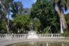 COT_384_2245