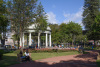 COT_385_2246