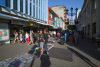 COT_388_2250