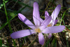 kra_0739_r