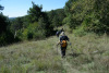 kra_0740_r