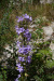kra_0843b_r