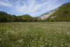 kra_0845_r