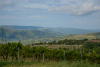 kra_0870_r