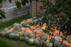kra_0906_r