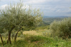 kra_0922_r