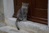 kra_0949_r
