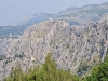 vor_1246_r