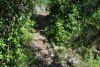 kru_0258_1_r