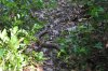 kru_0263_r
