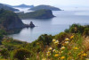 image002_r36