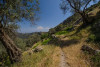 image009_r36