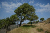 image015_r36