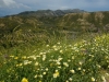 image011_r36