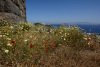 dek_0741_r