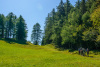DRE_0028