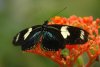 asc_0856_4_r