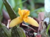 asc_0533a_4_r