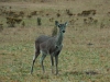 dsc_0451_1_m_r