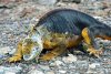dsc_2215b_1_m_r