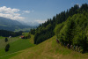 ENT_0042