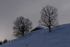 erz_0072
