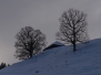 erizstouffe01